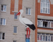 Поликор1