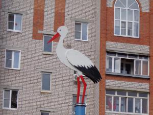 Поликор1